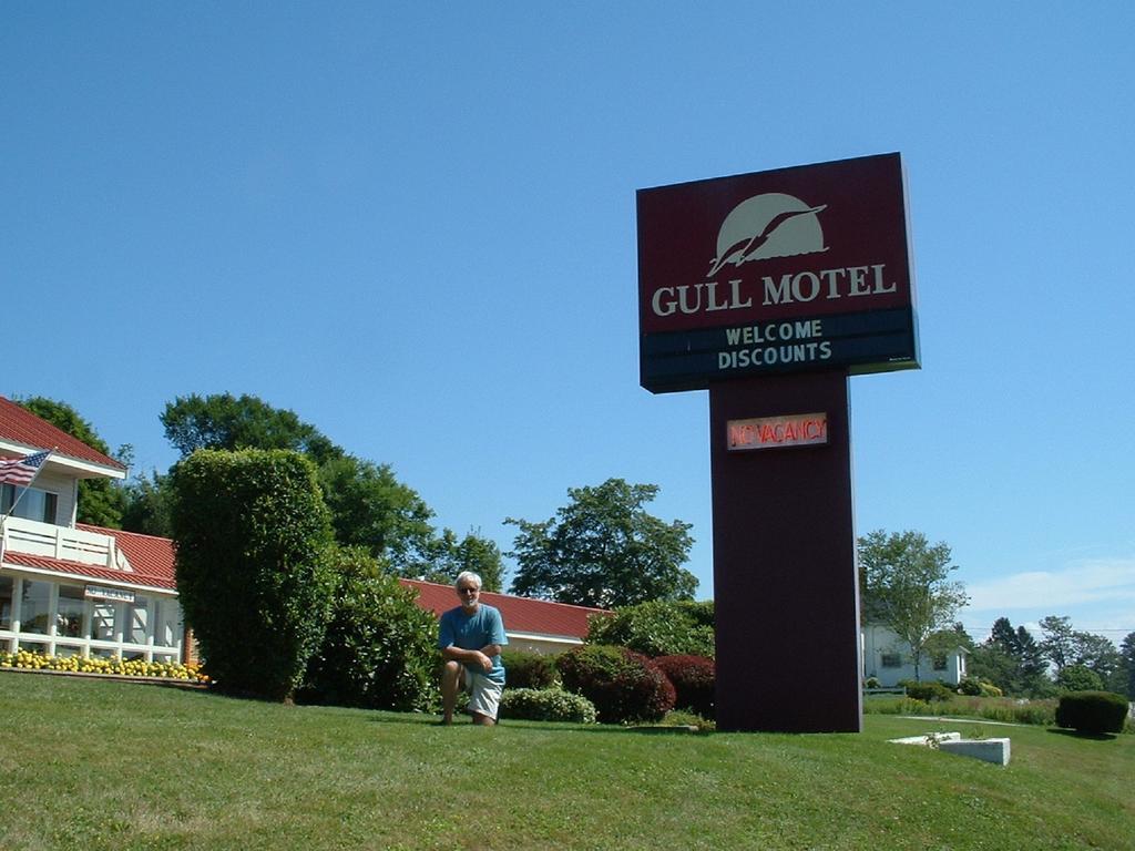 The Gull Motel, ベルファスト エクステリア 写真