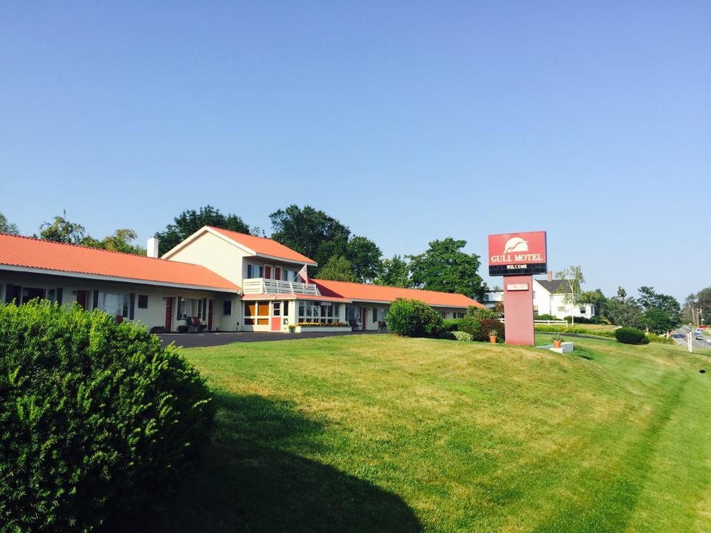The Gull Motel, ベルファスト エクステリア 写真